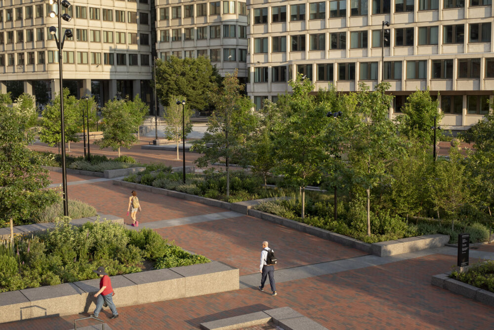 Boston City Hall Plaza Renovation Sasaki