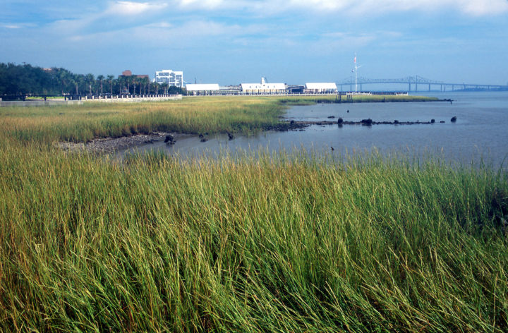 Charleston Waterfront Park – Sasaki