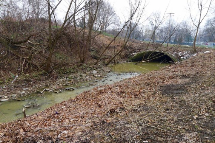 Cleveland Museum of Artʼs New Park Along Doan Brook is a Magnificent ...